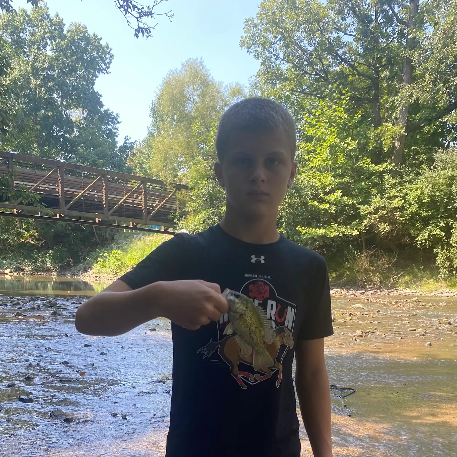 Rock bass caught on Fishbrain