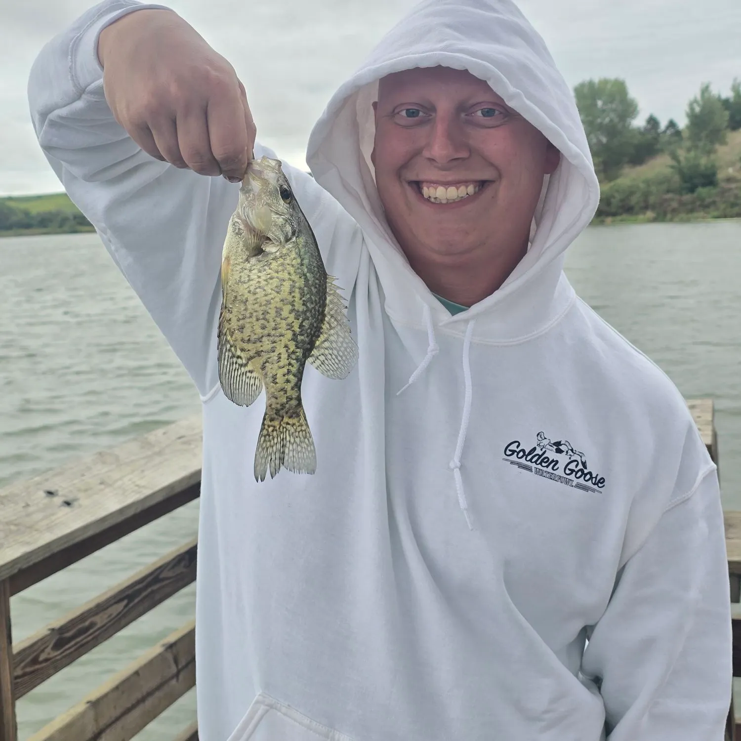 Black crappie caught on Fishbrain