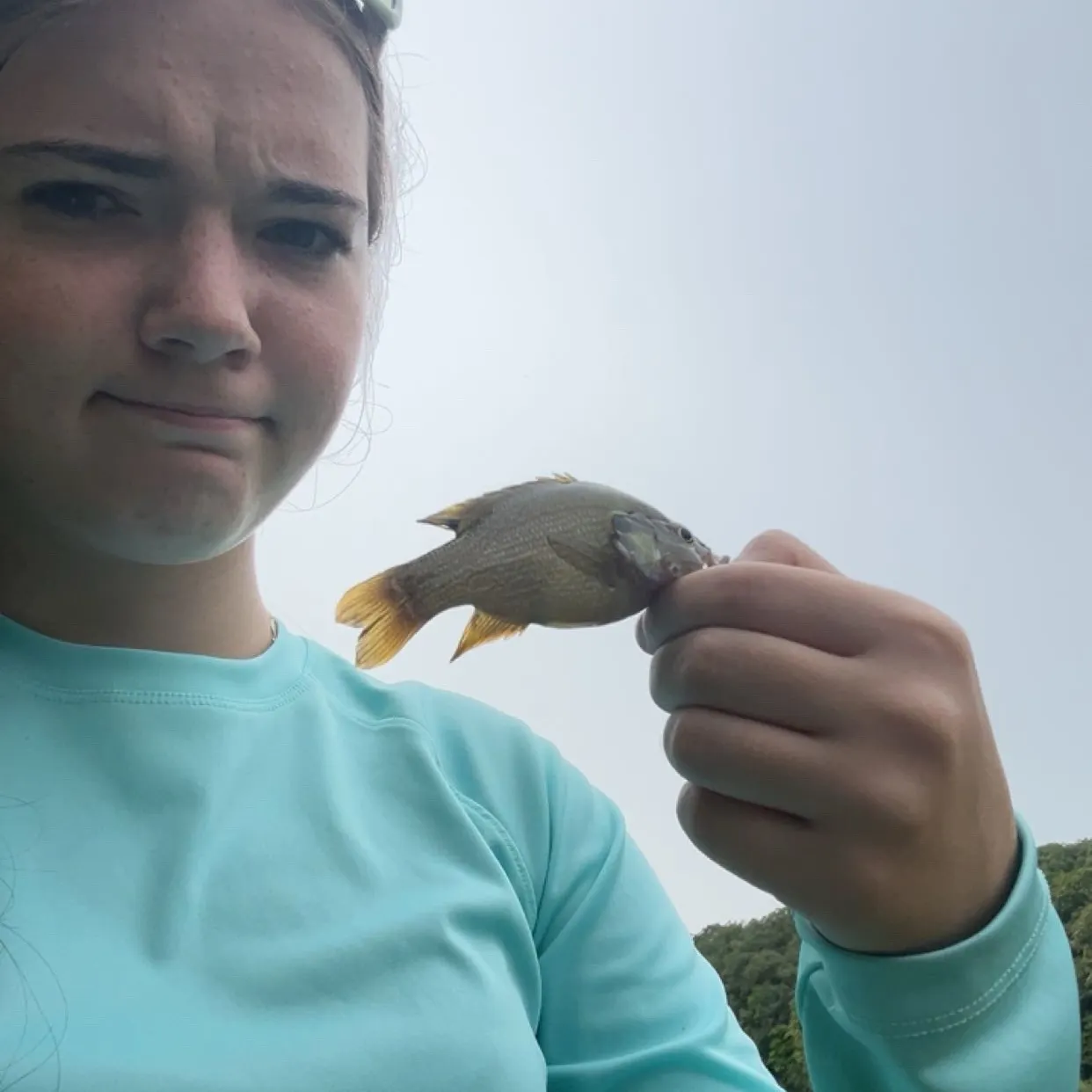 Green sunfish caught on Fishbrain