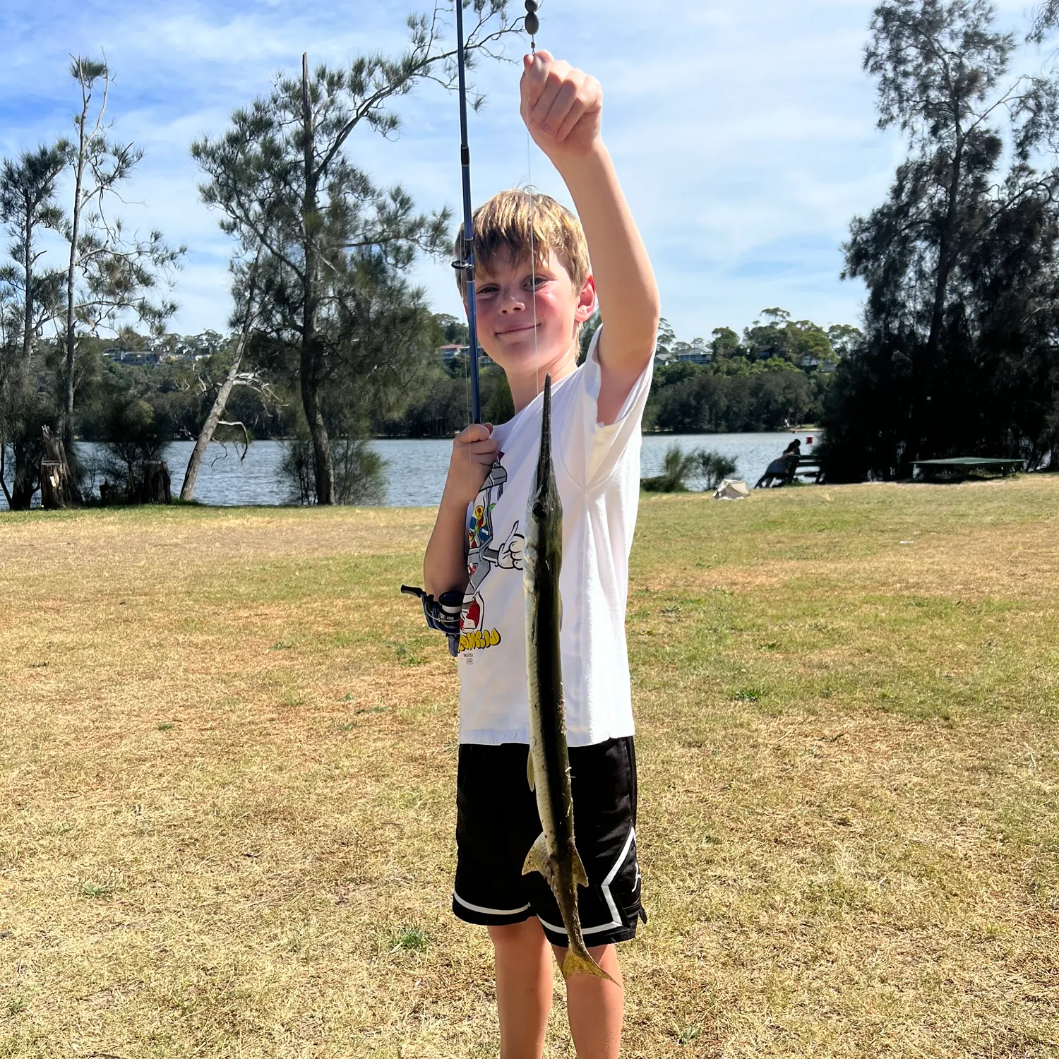 The most recent Flat needlefish catches on Fishbrain