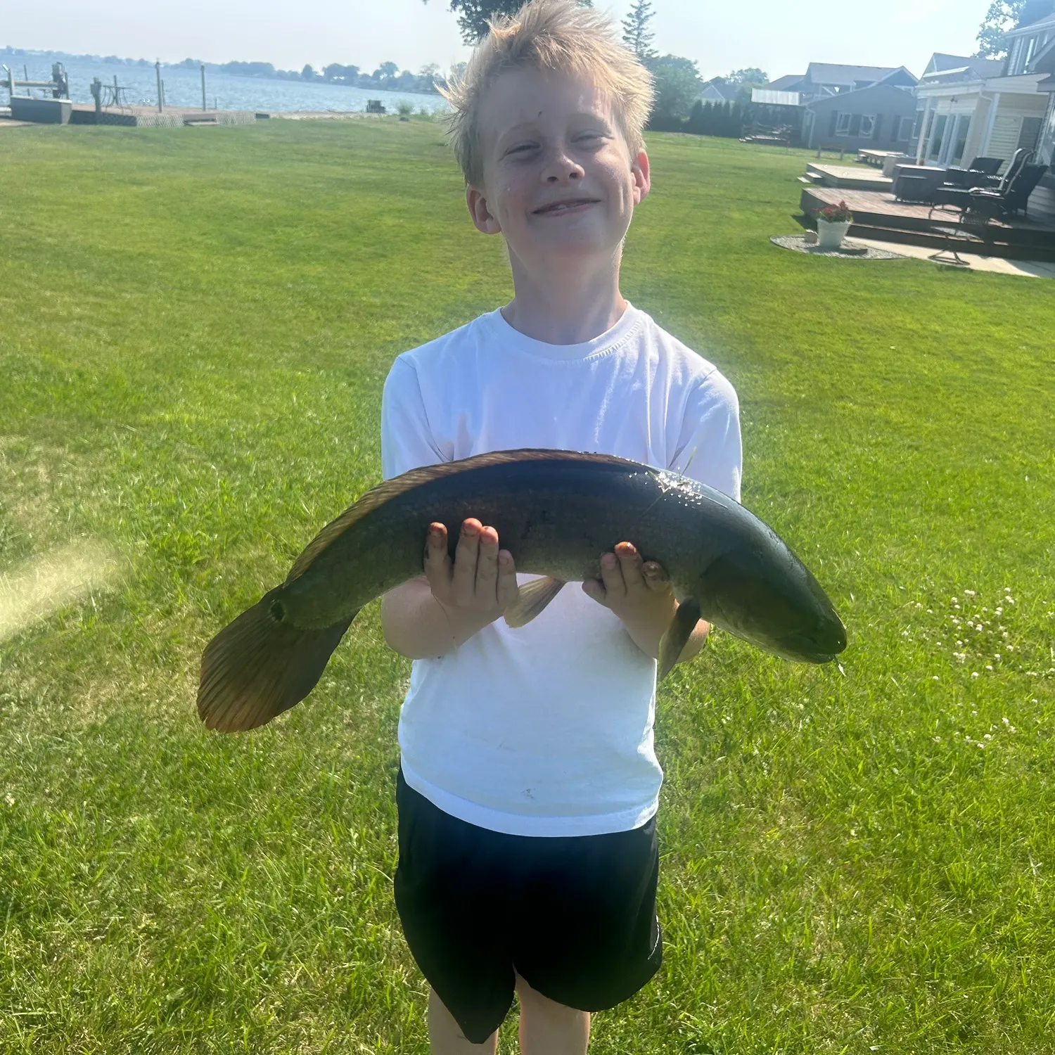 The most recent Eyetail bowfin catches on Fishbrain