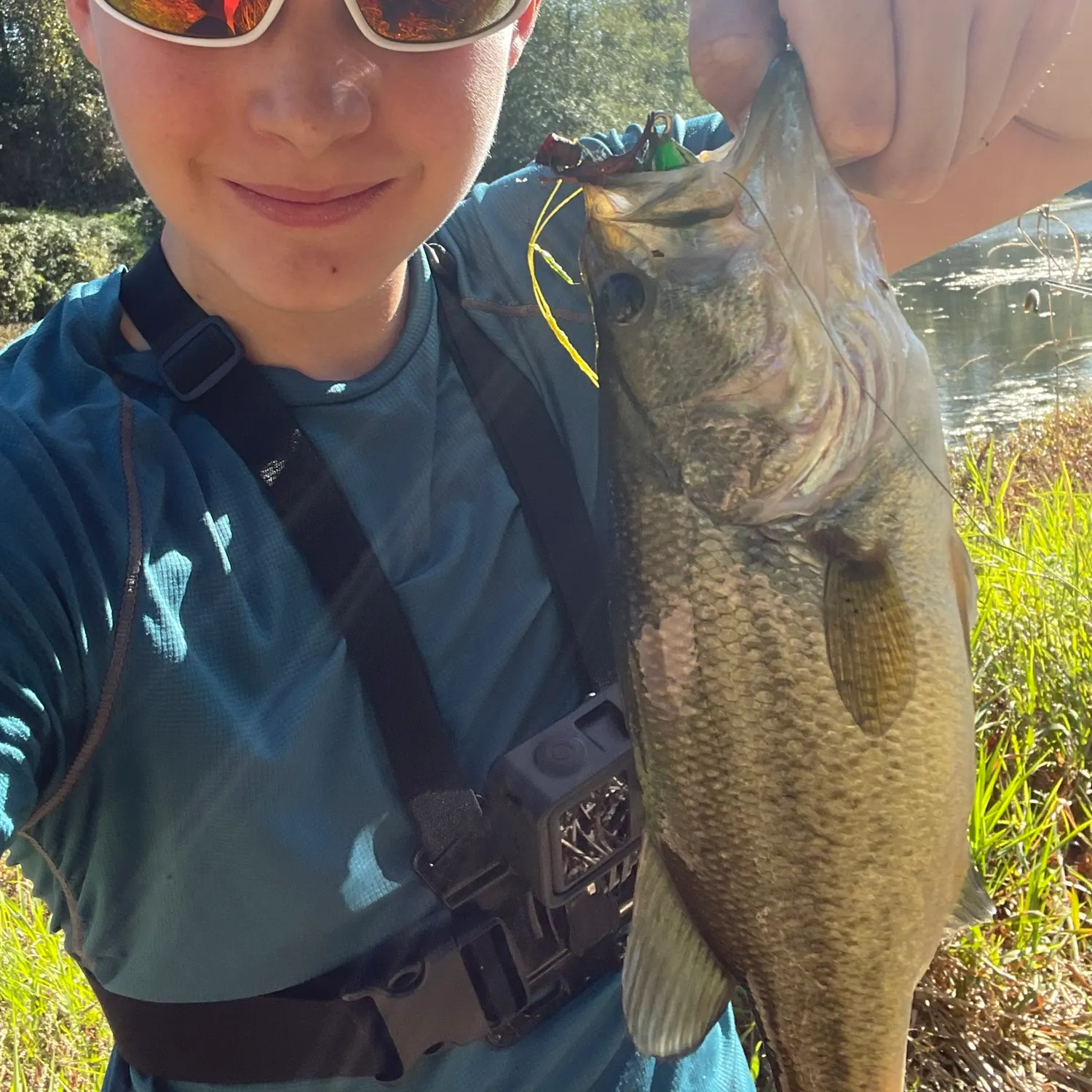Largemouth bass caught on Fishbrain