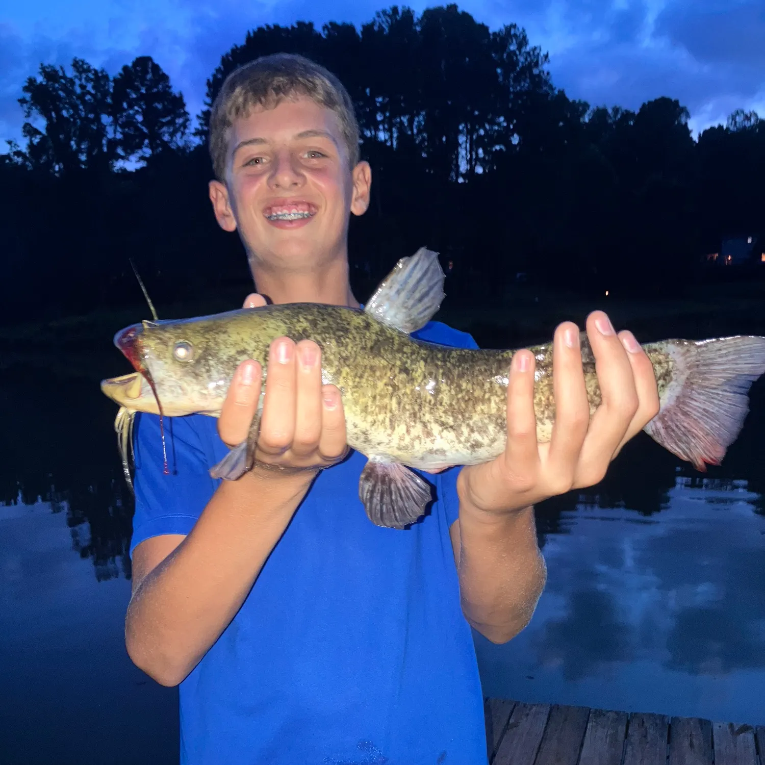 Brown bullhead caught on Fishbrain