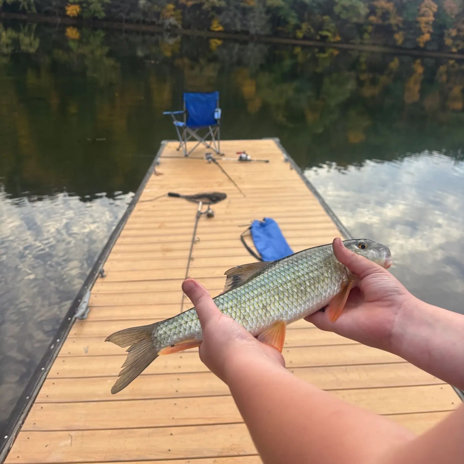 Golden redhorse caught on Fishbrain