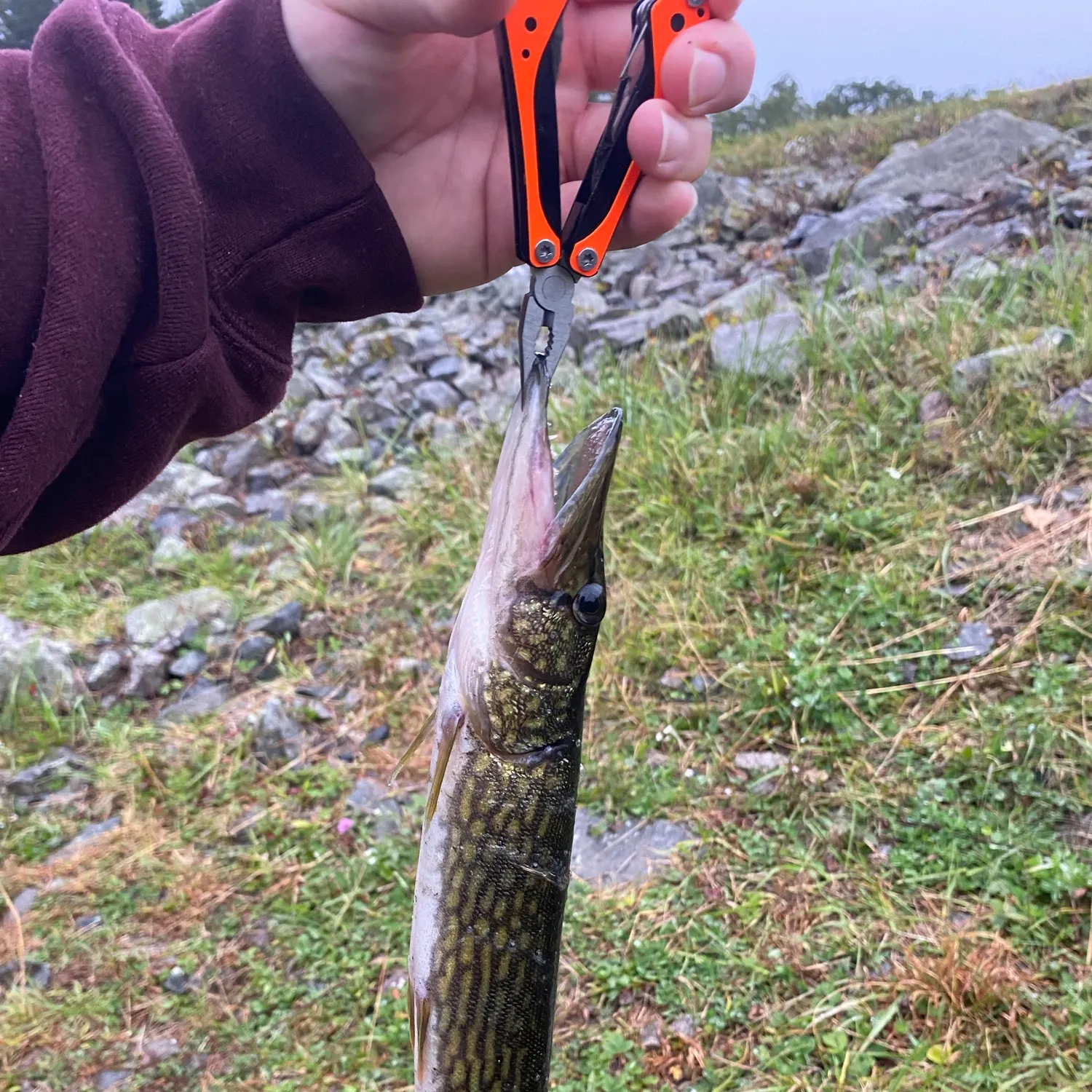 catch