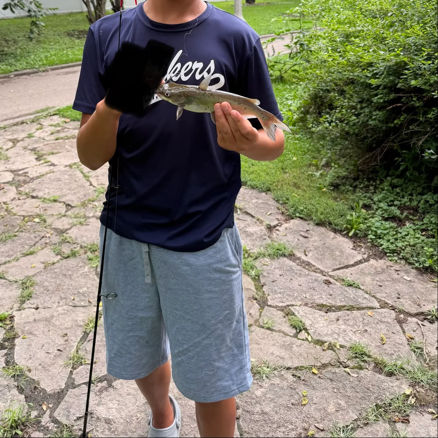 Channel catfish caught on Fishbrain