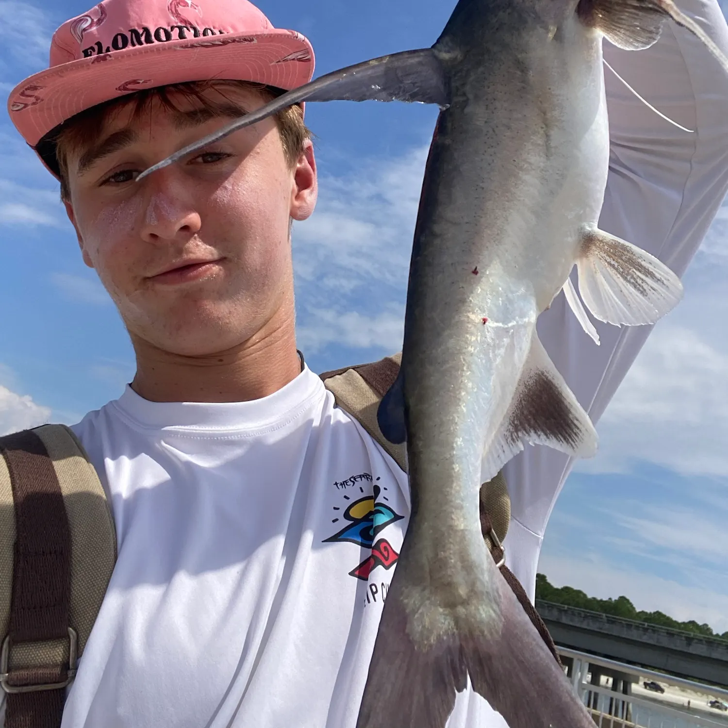 Gafftopsail sea catfish caught on Fishbrain