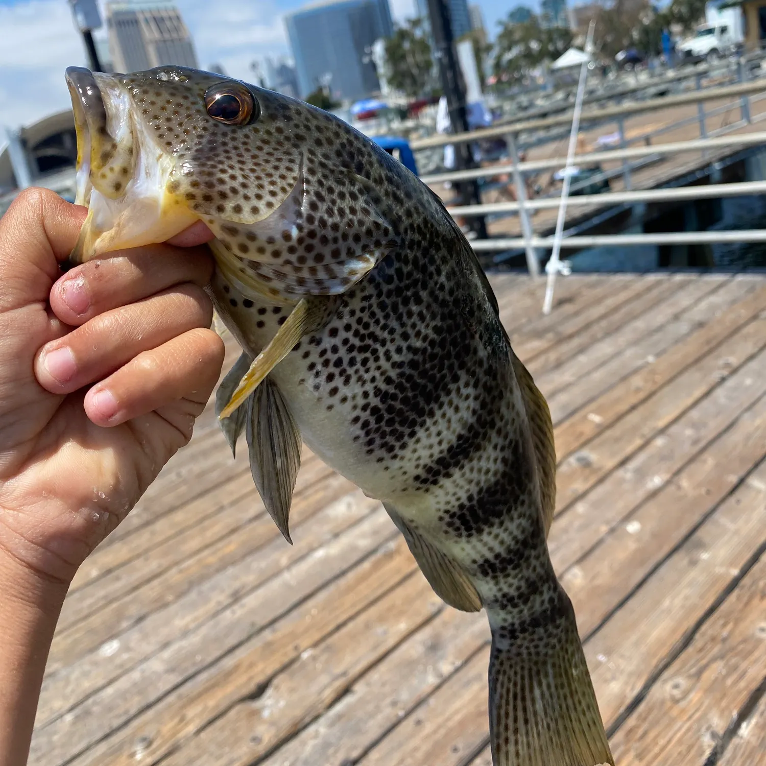 catch