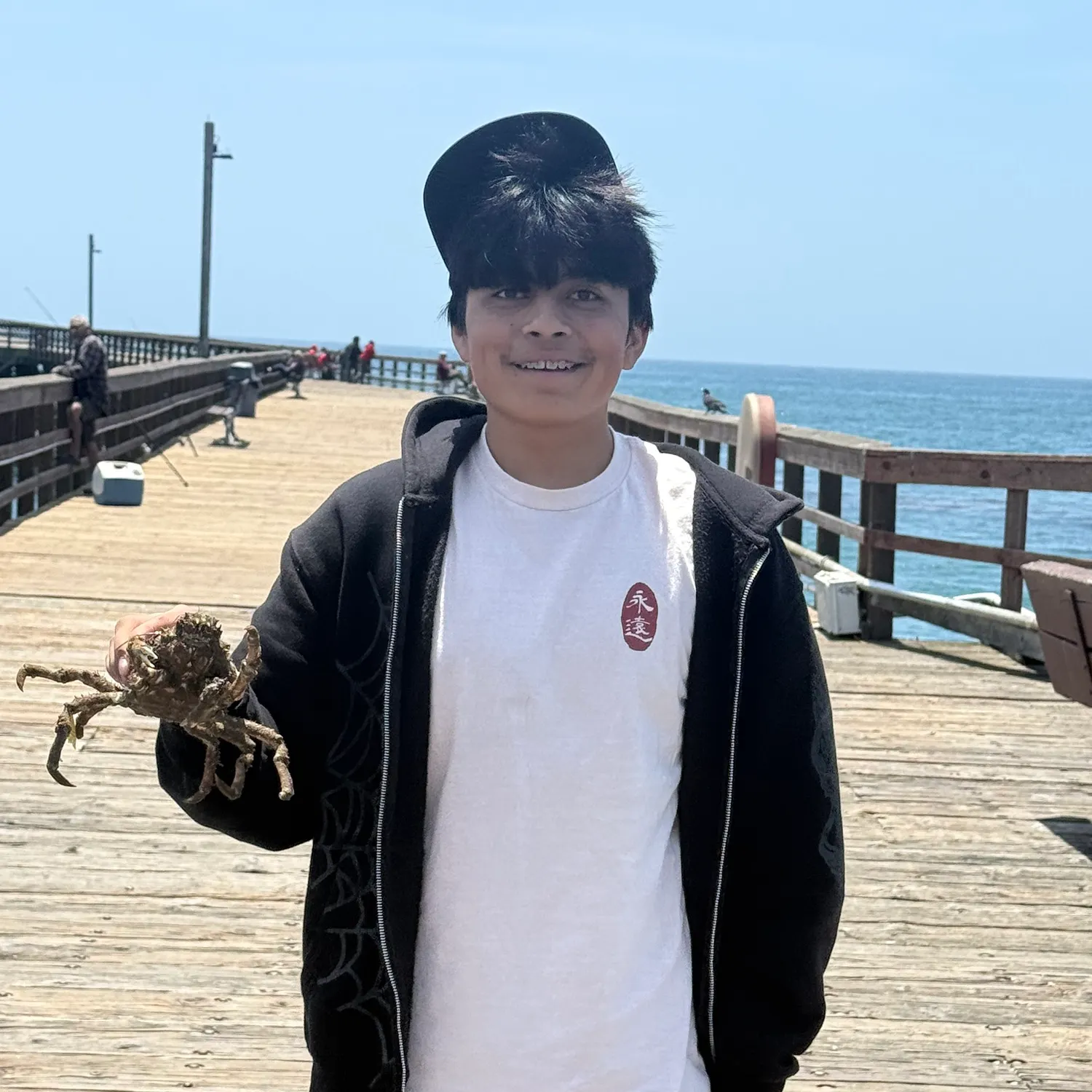 The most recent European spider crab catches on Fishbrain