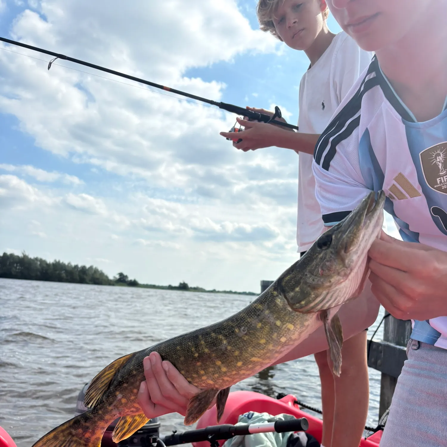 Northern pike caught on Fishbrain