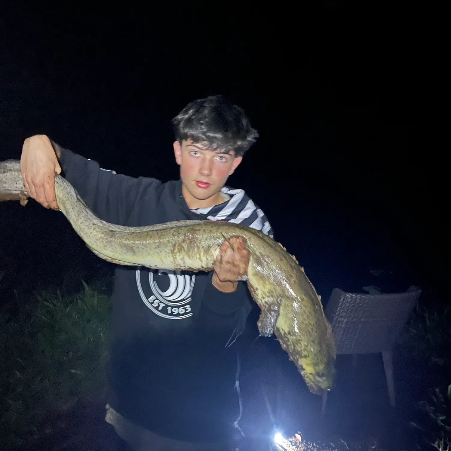 The most recent Speckled longfin eel catches on Fishbrain