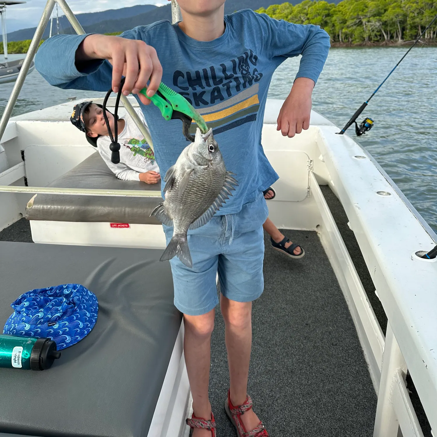 The most recent Pacific seabream catches on Fishbrain