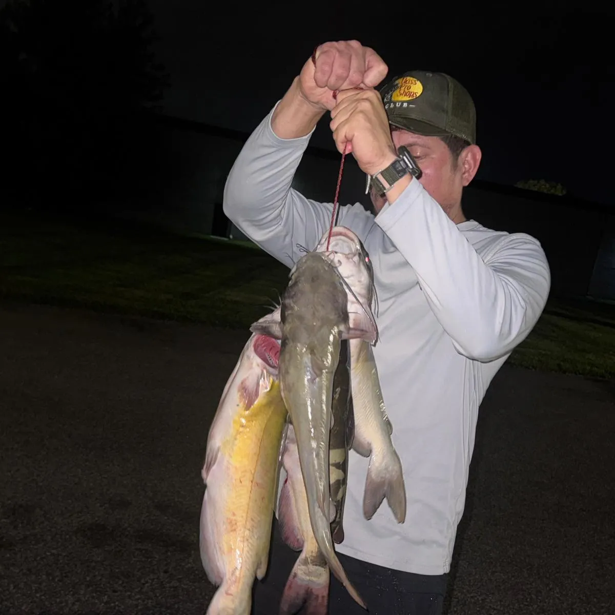 Channel catfish caught on Fishbrain