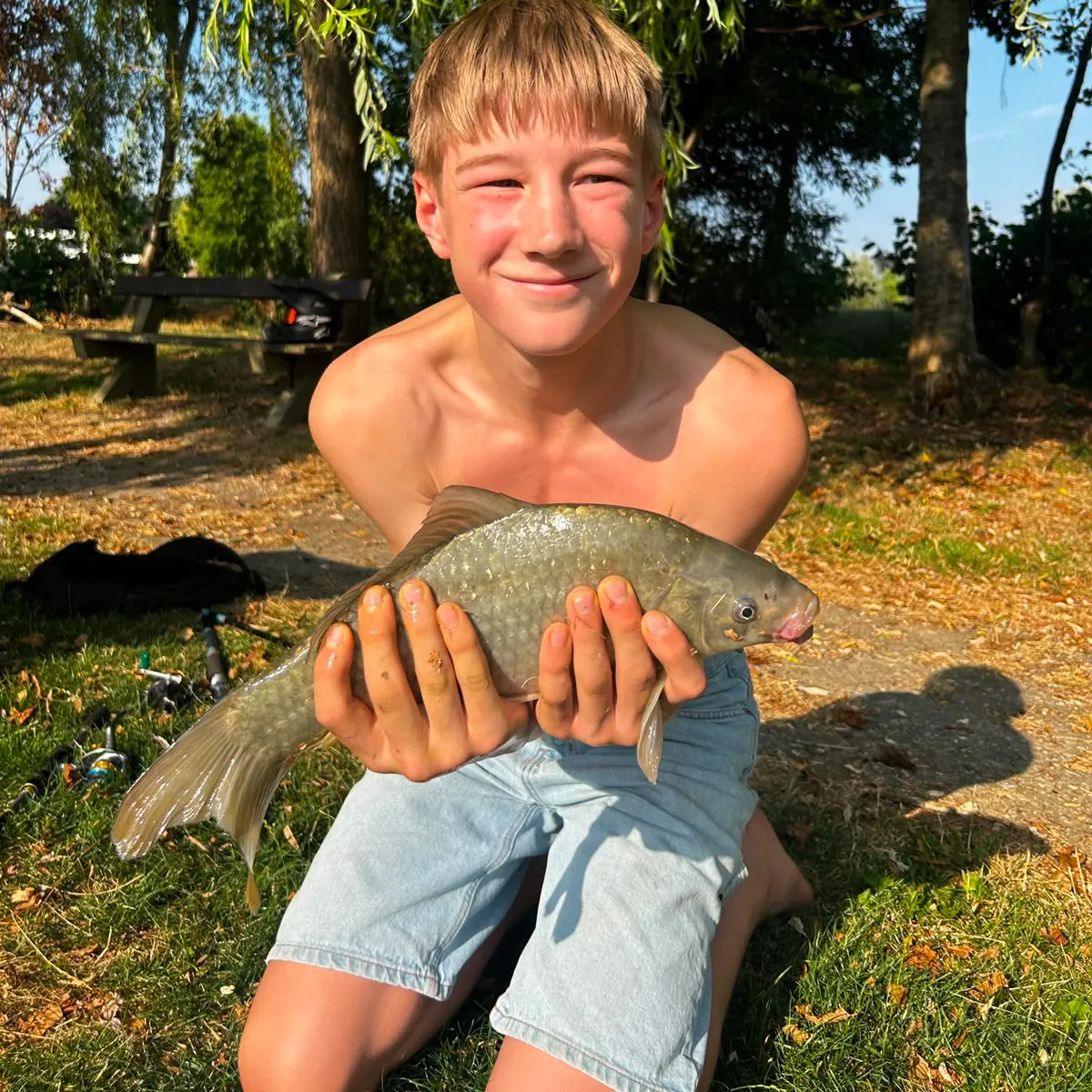 Silver redhorse caught on Fishbrain