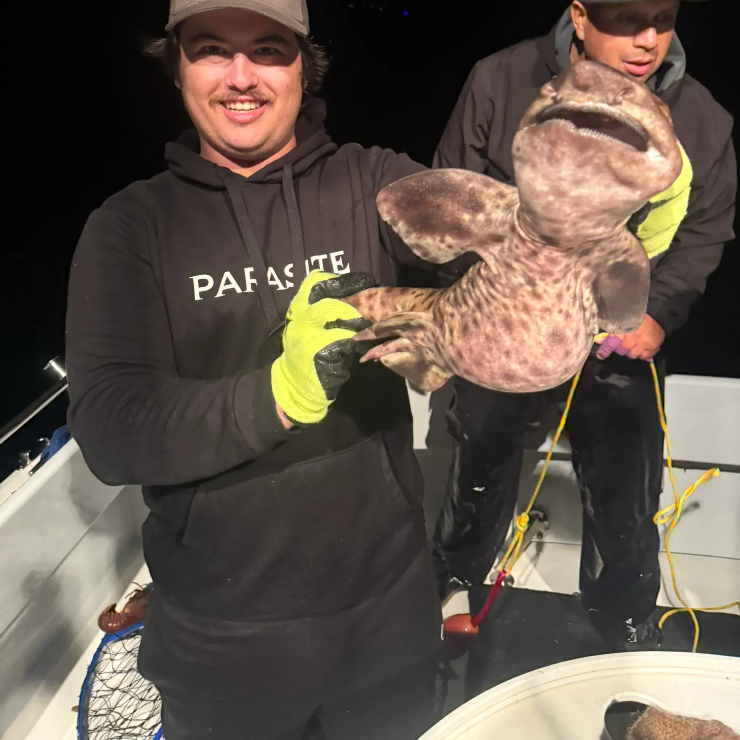 The most recent Swellshark catches on Fishbrain