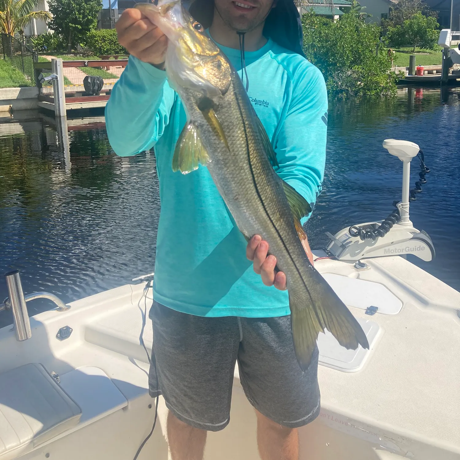 The most recent Common snook catches on Fishbrain