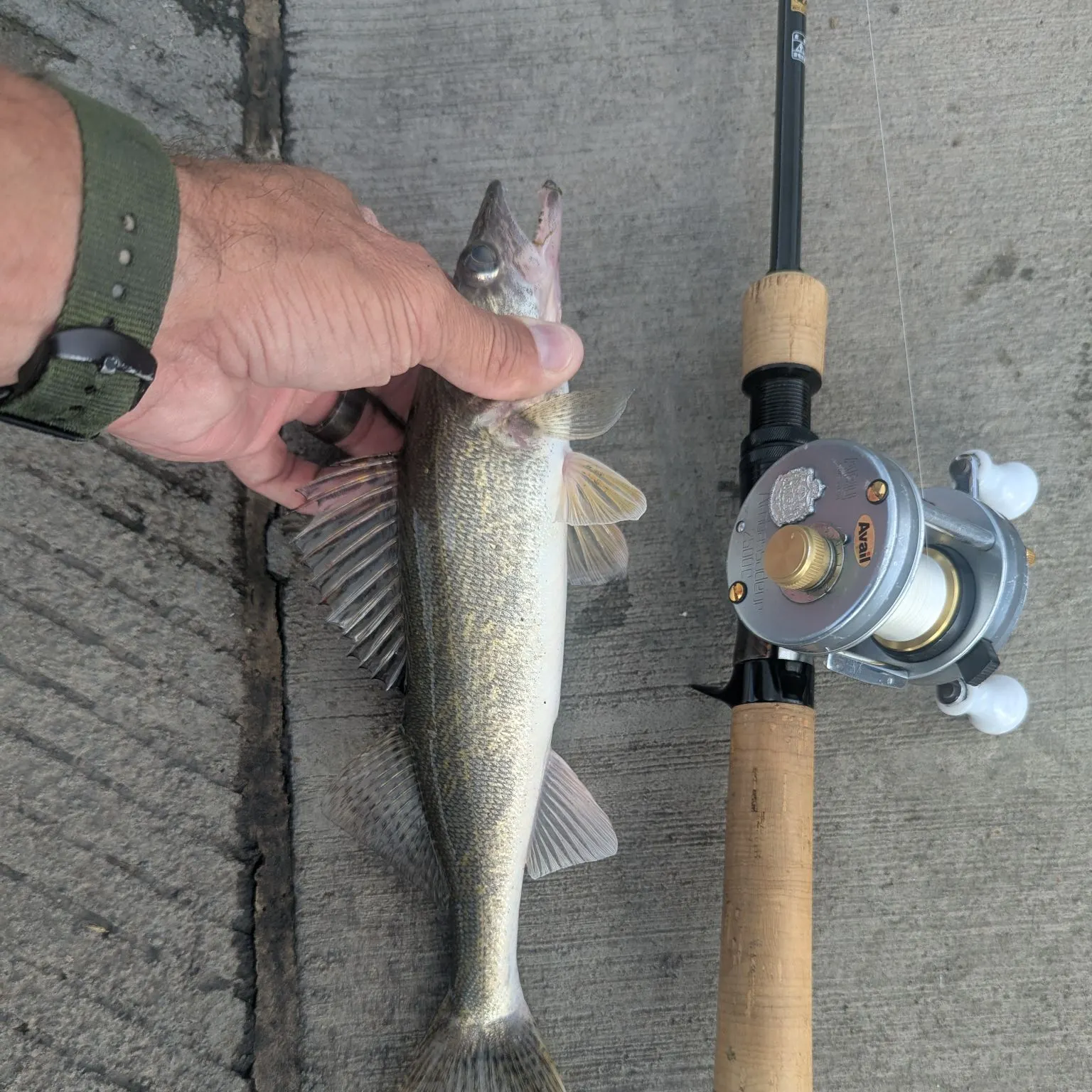 The most recent Saugeye catches on Fishbrain