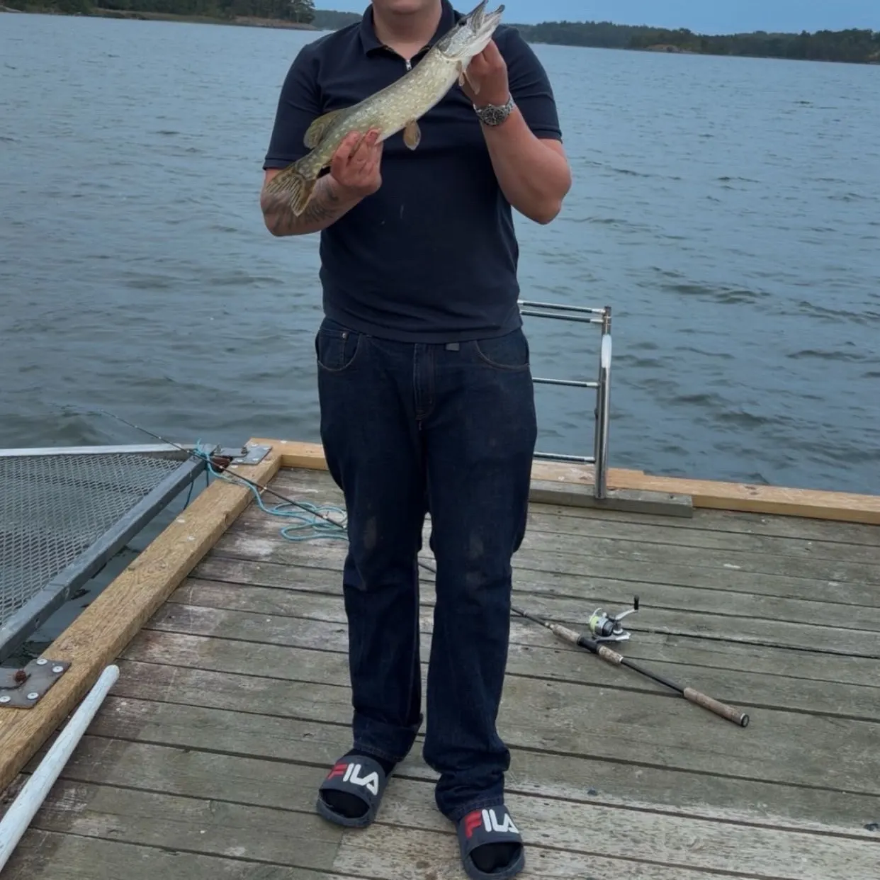 Northern pike caught on Fishbrain