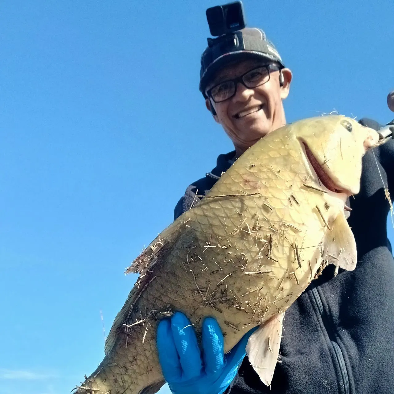The most recent Smallmouth buffalo catches on Fishbrain
