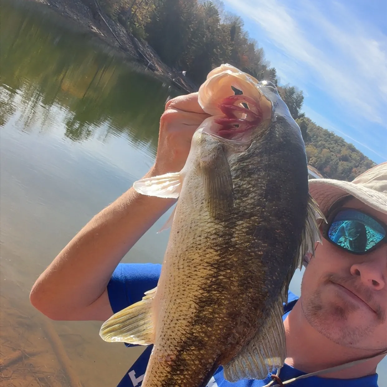 Spotted bass caught on Fishbrain