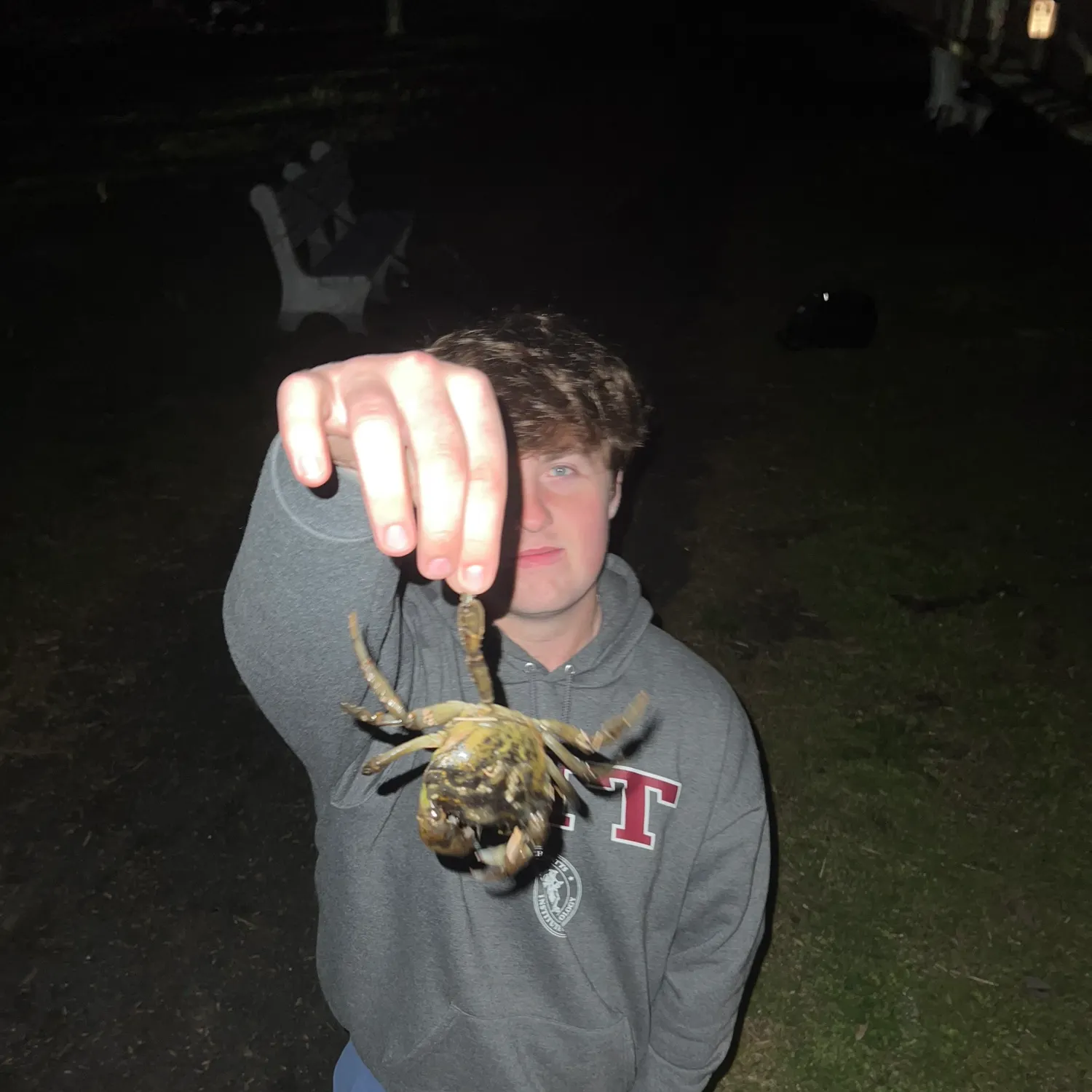 The most recent Green crab catches on Fishbrain