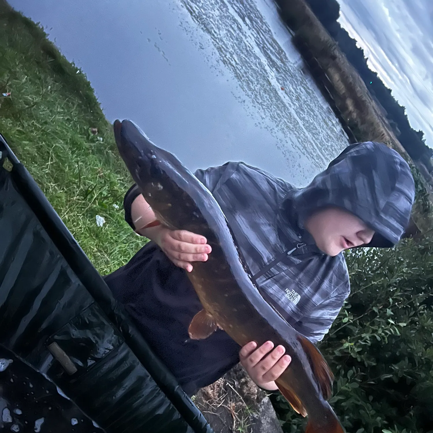 Northern pike caught on Fishbrain