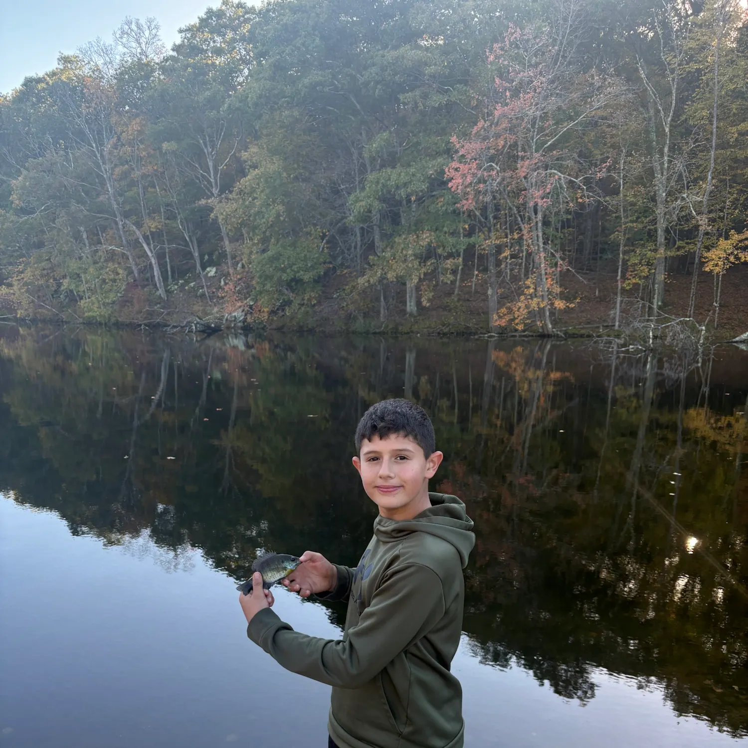 Bluegill caught on Fishbrain