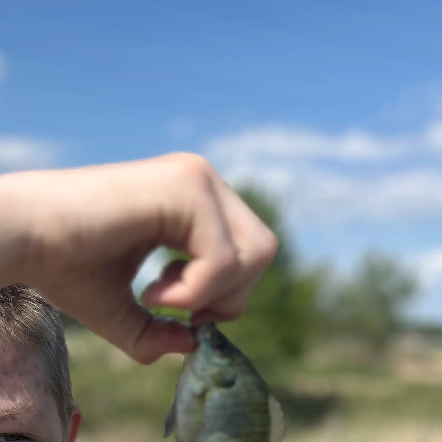 most liked catch image