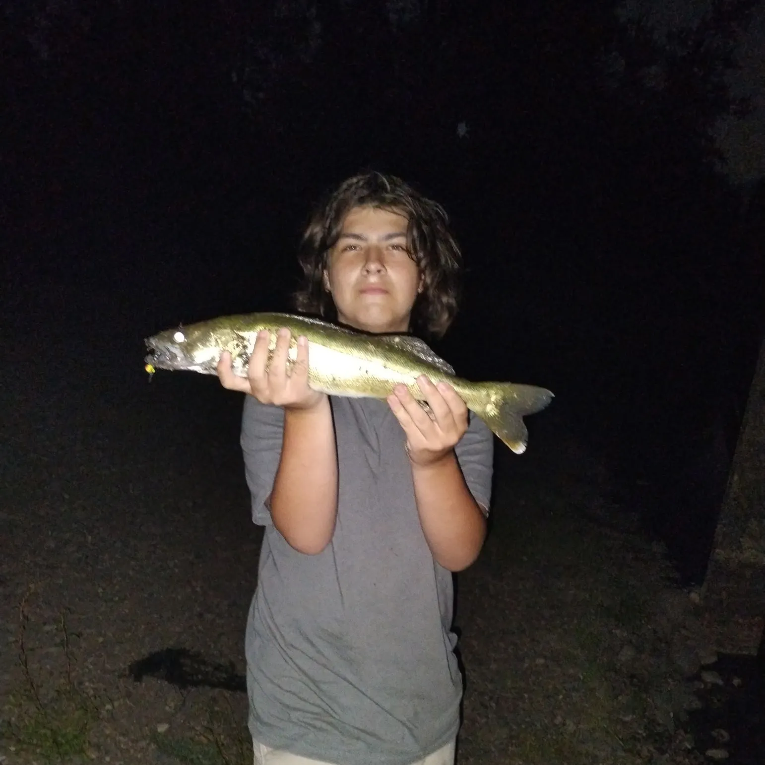 Walleye caught on Fishbrain
