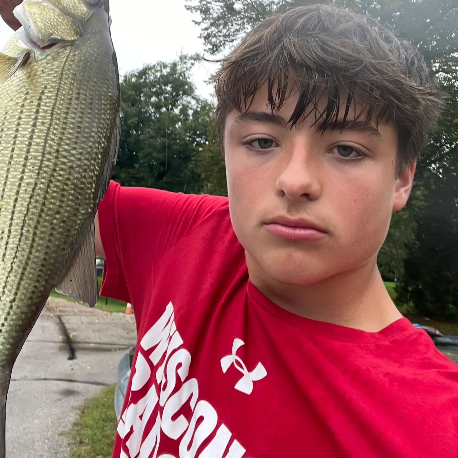 White bass caught on Fishbrain