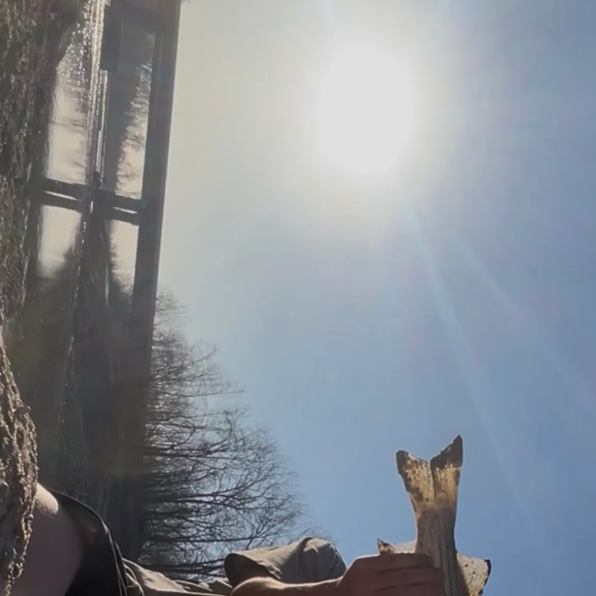 The most recent Striped bass catches on Fishbrain