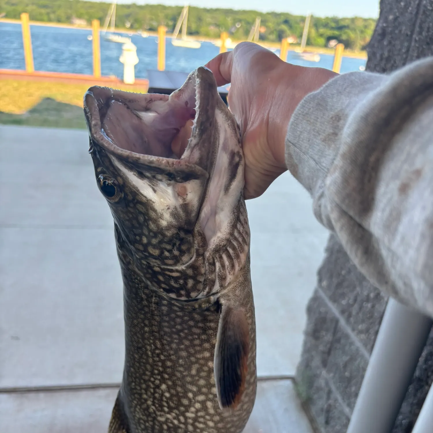 catch