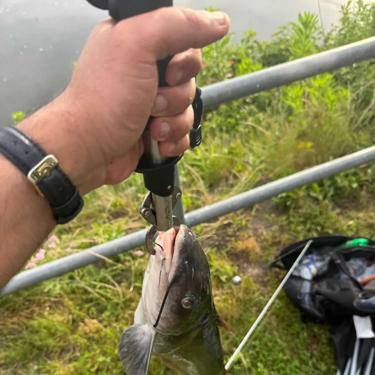 catch