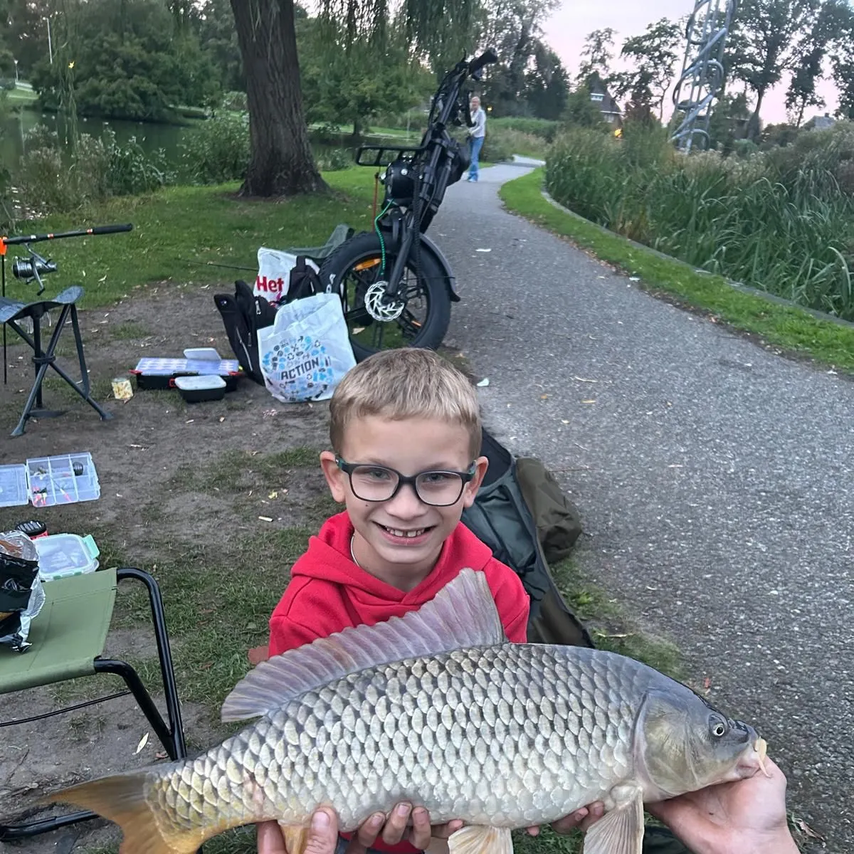 Common carp caught on Fishbrain