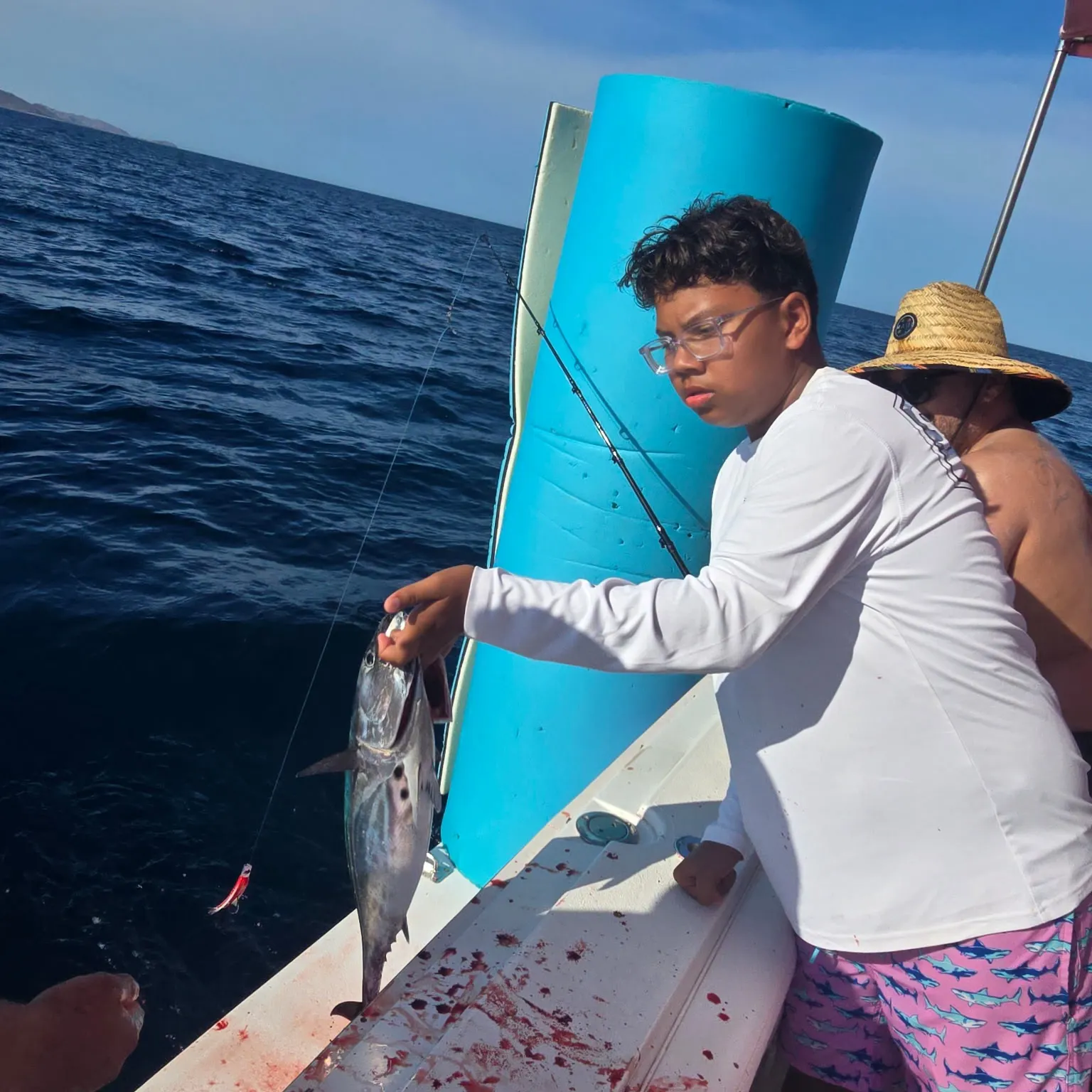 The most recent Australian bonito catches on Fishbrain
