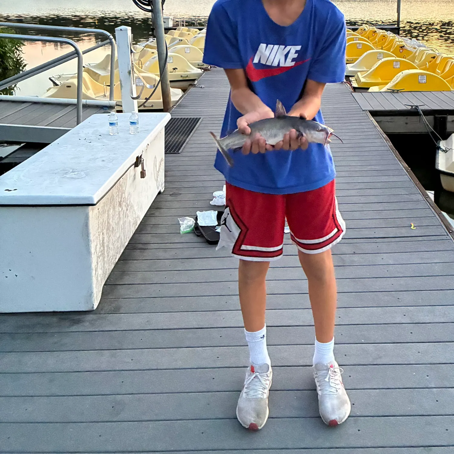 Channel catfish caught on Fishbrain