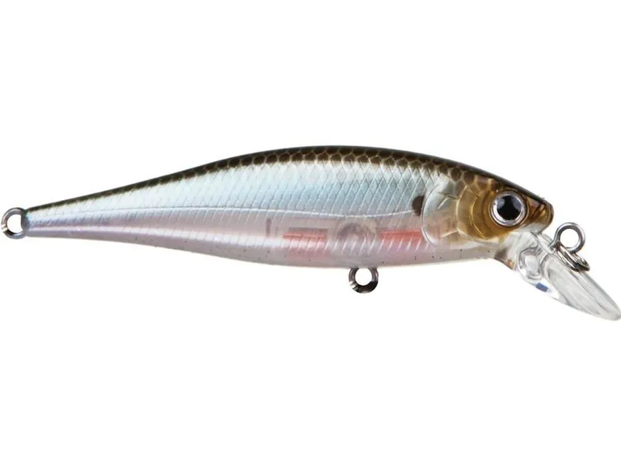 Pointer Minnow