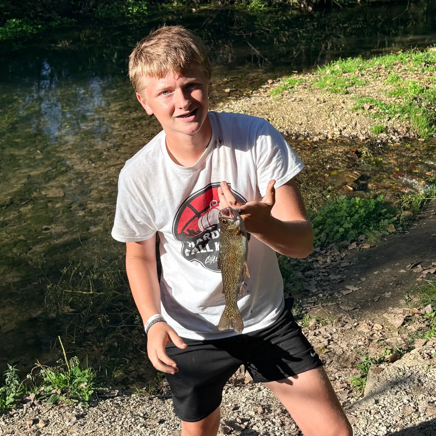 Rainbow trout caught on Fishbrain