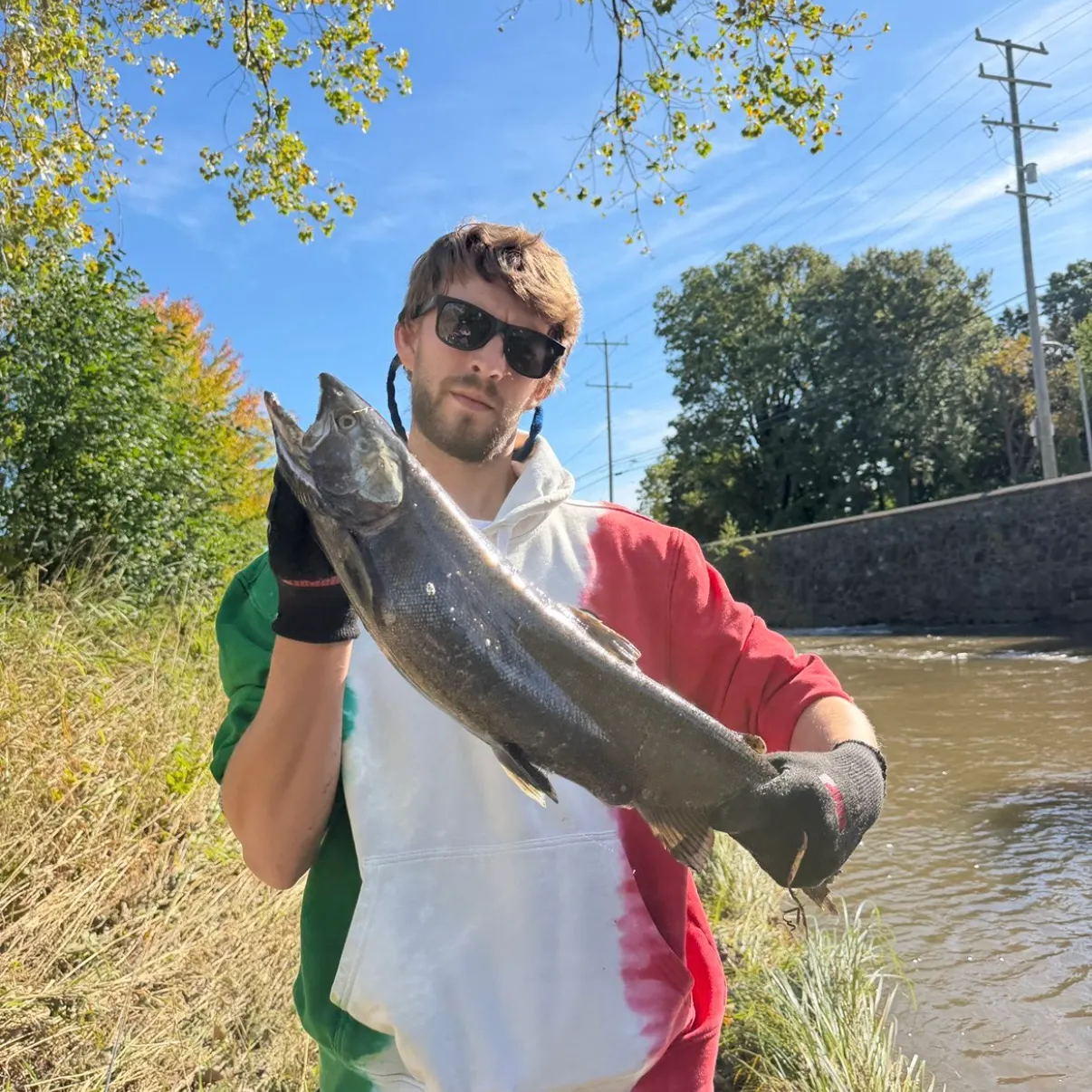 Chinook salmon caught on Fishbrain