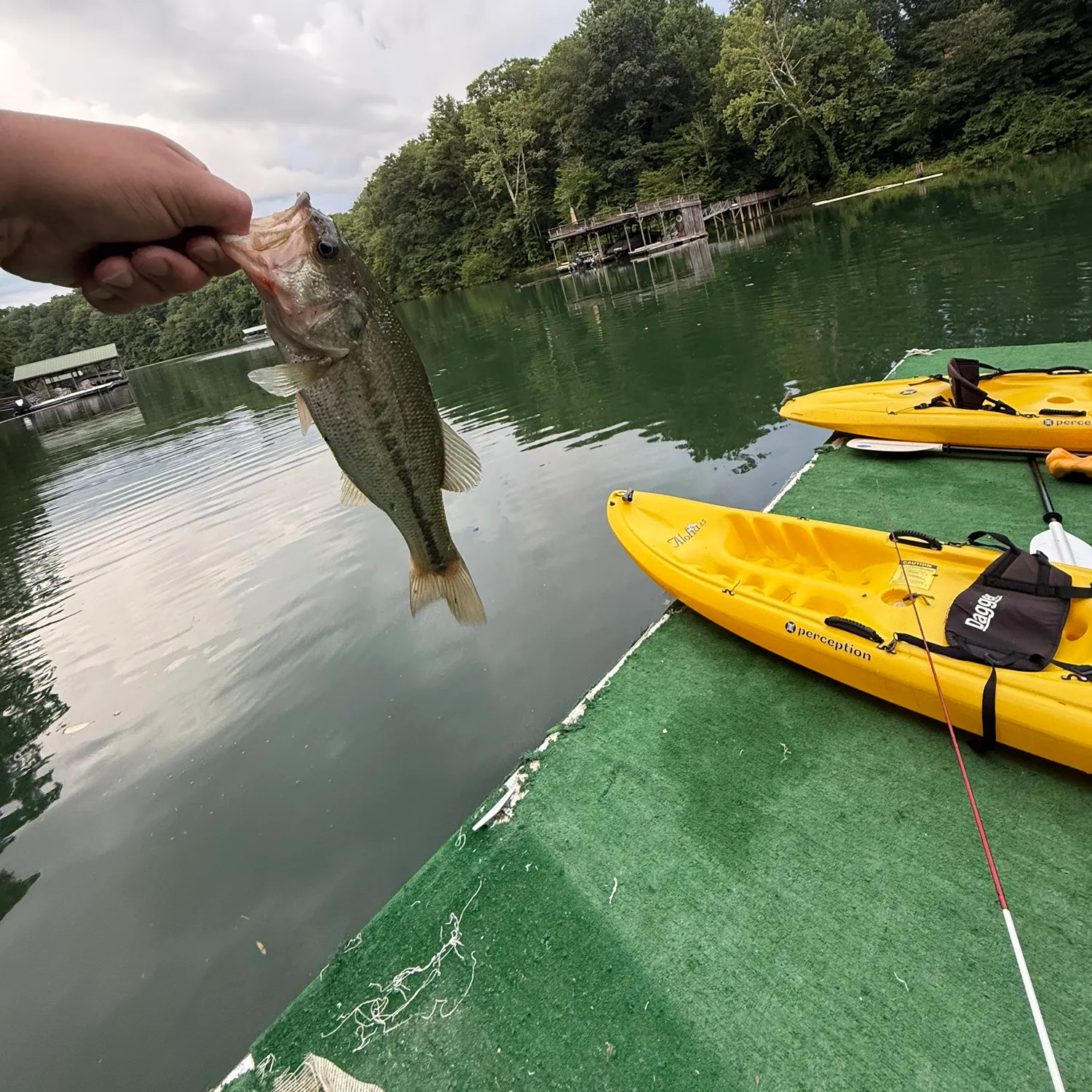 catch