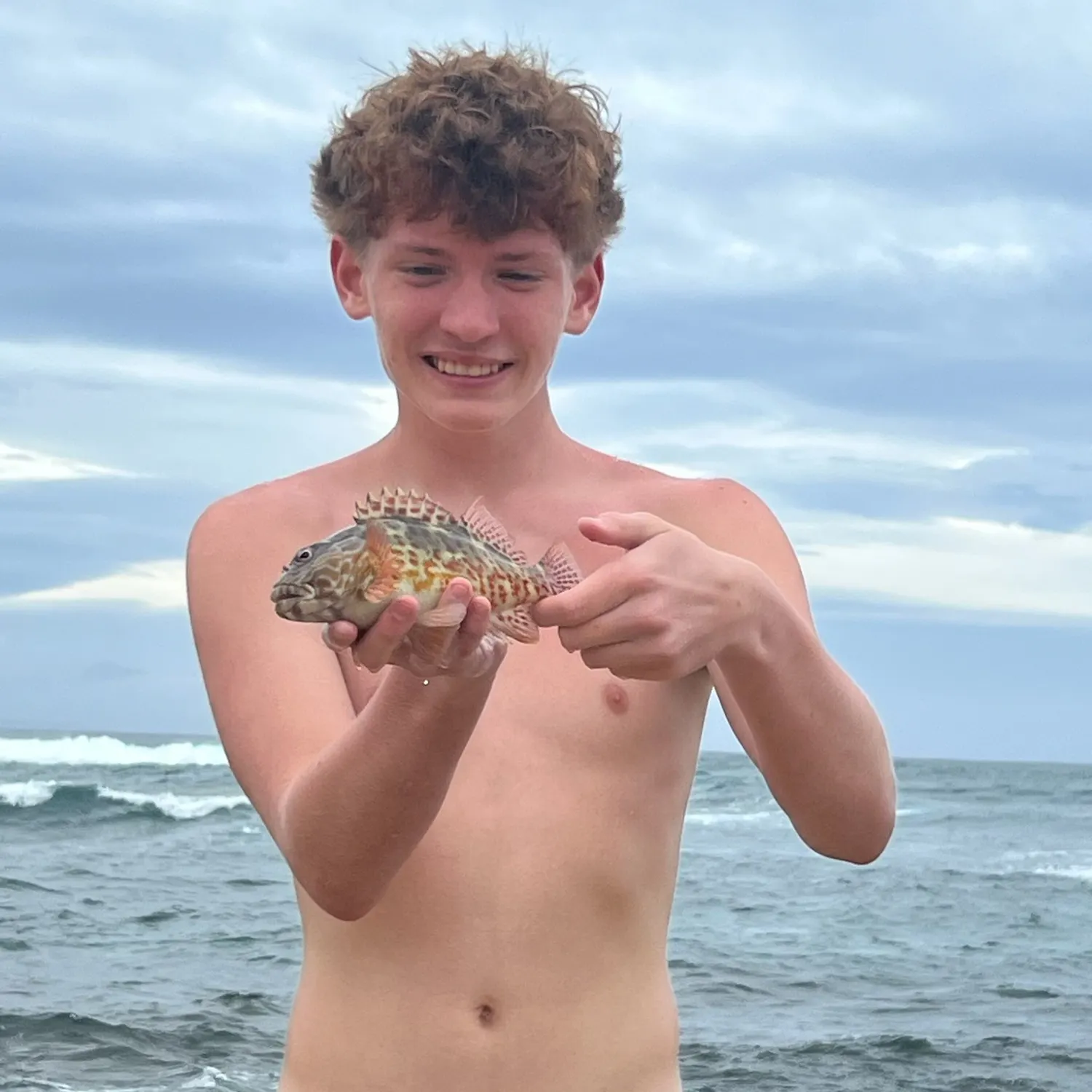 The most recent Stocky hawkfish catches on Fishbrain