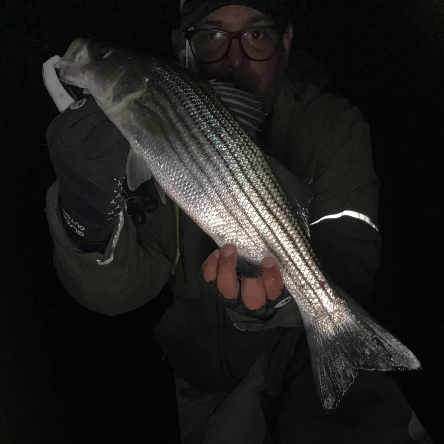 Striped bass caught on Fishbrain