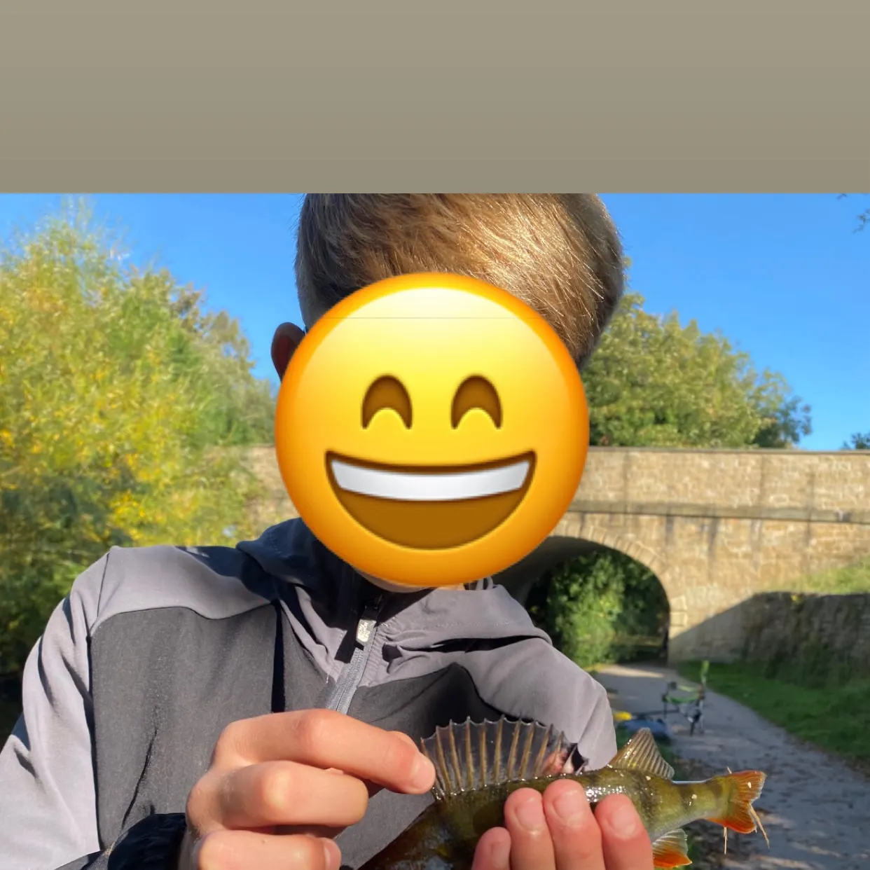 European perch caught on Fishbrain