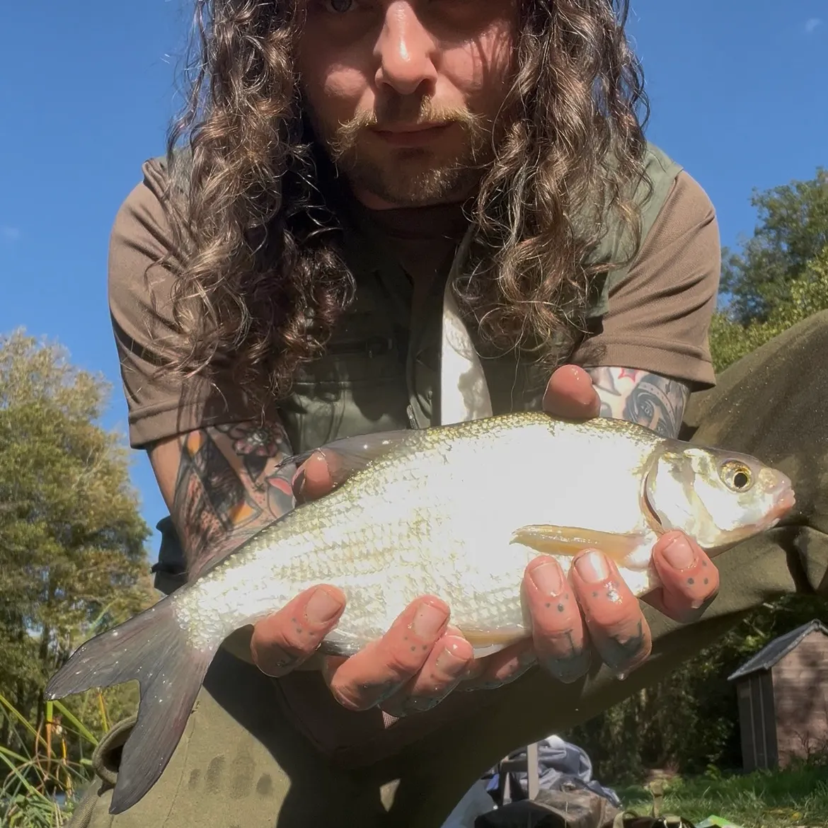 Common bream caught on Fishbrain