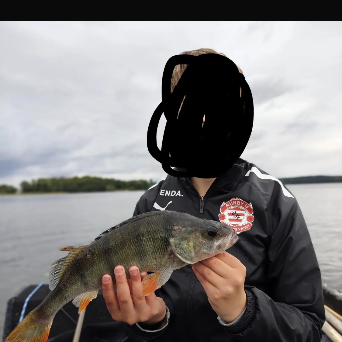 European perch caught on Fishbrain