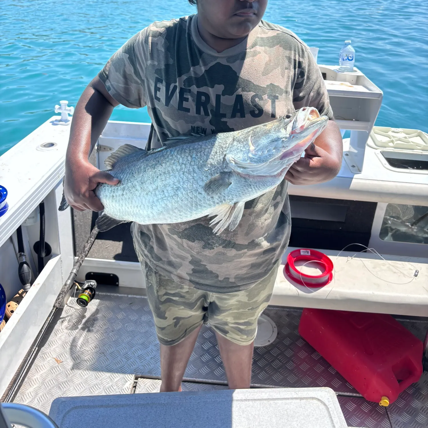The most recent Barramundi catches on Fishbrain