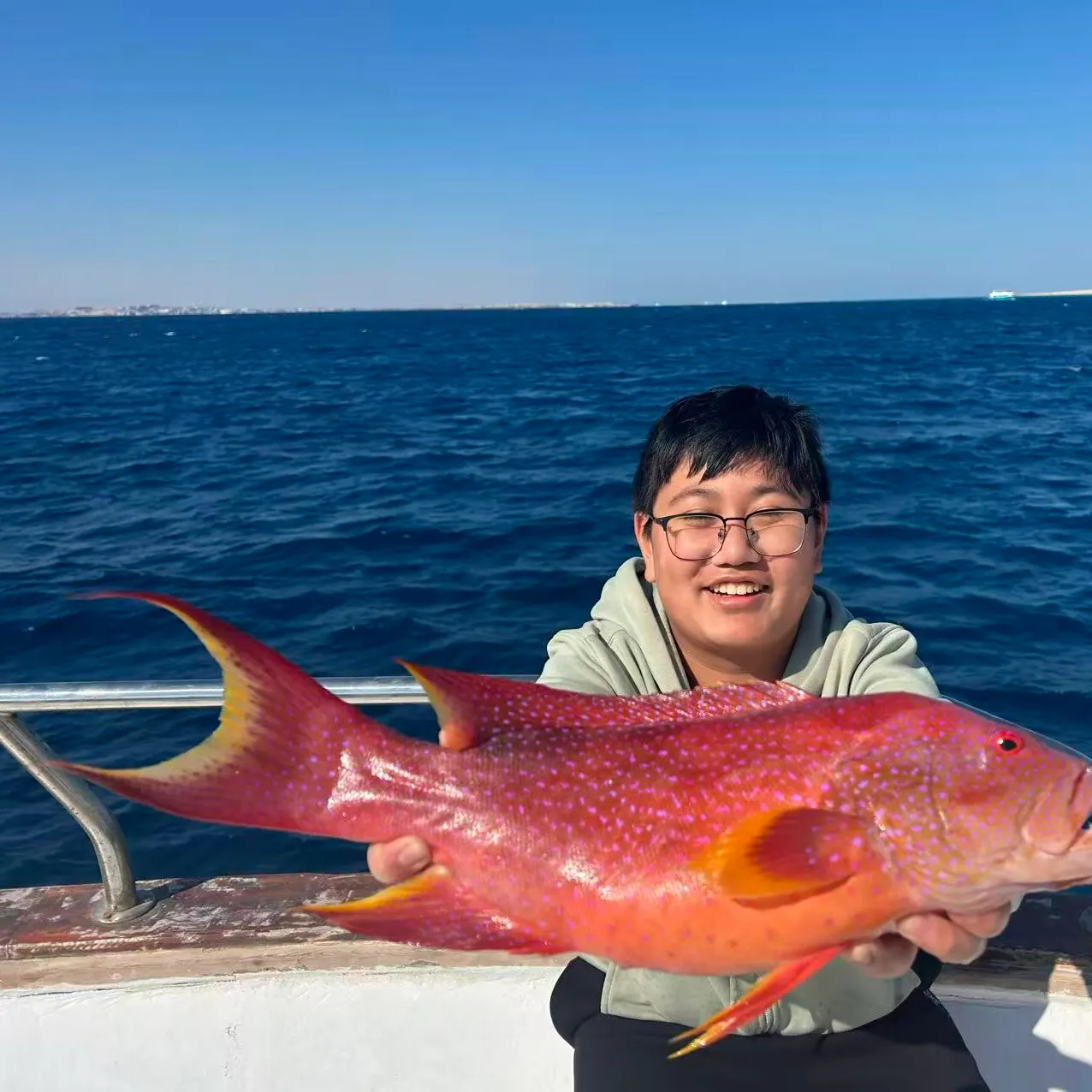 Yellow-edged lyretail caught on Fishbrain