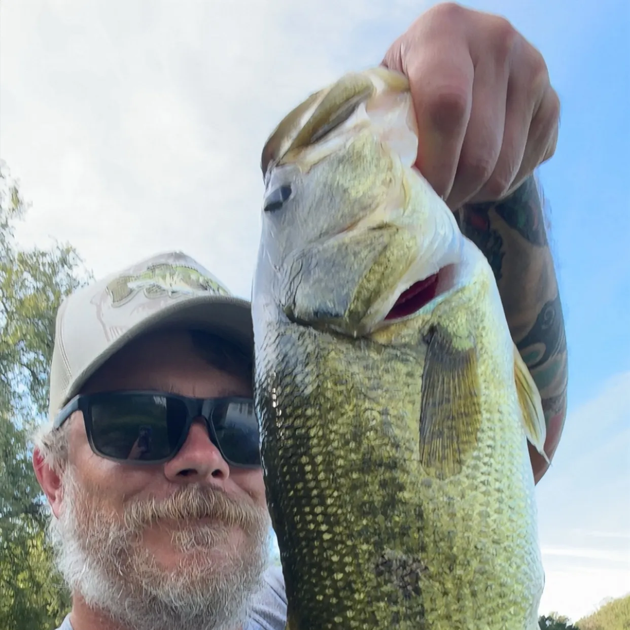 Largemouth bass caught on Fishbrain