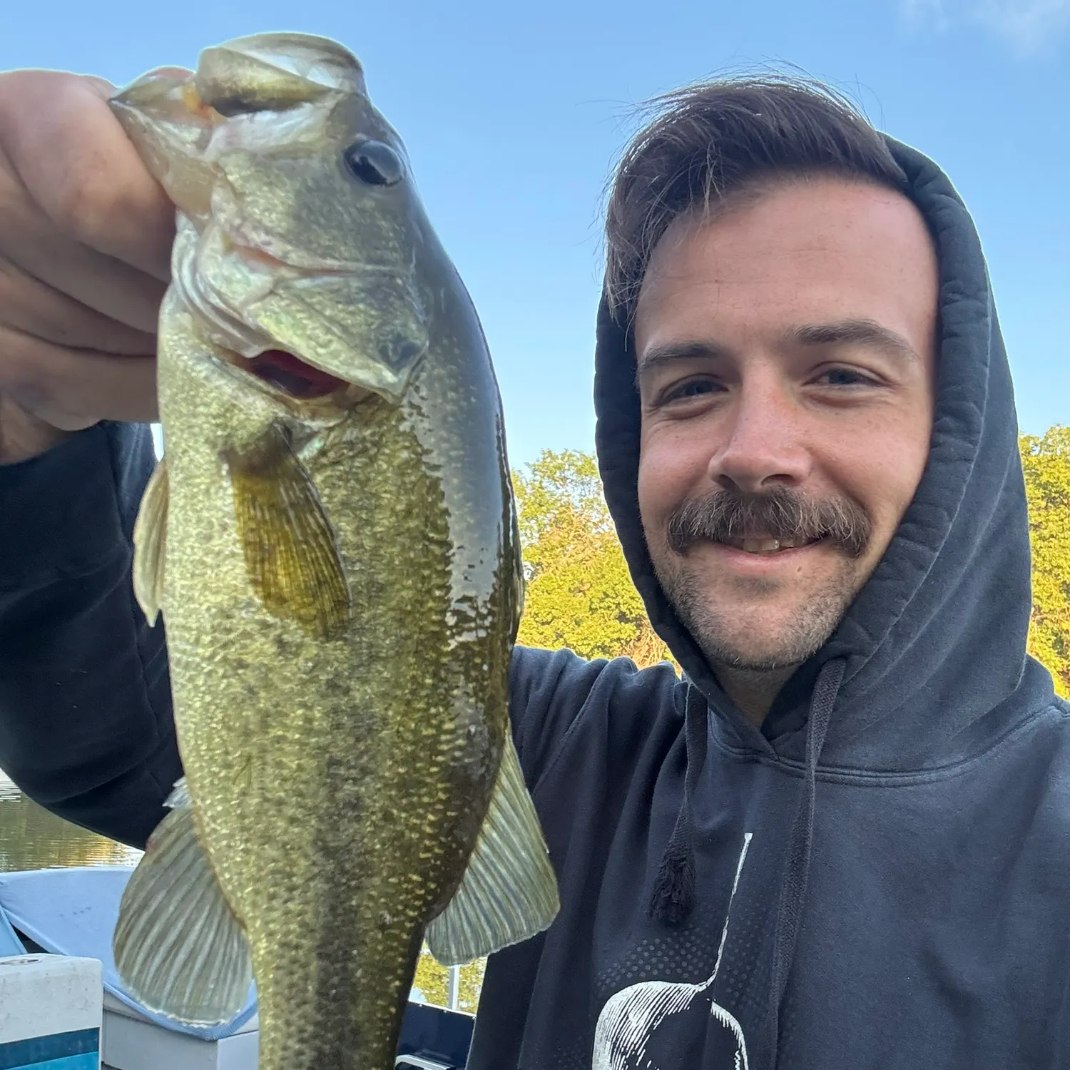 Largemouth bass caught on Fishbrain