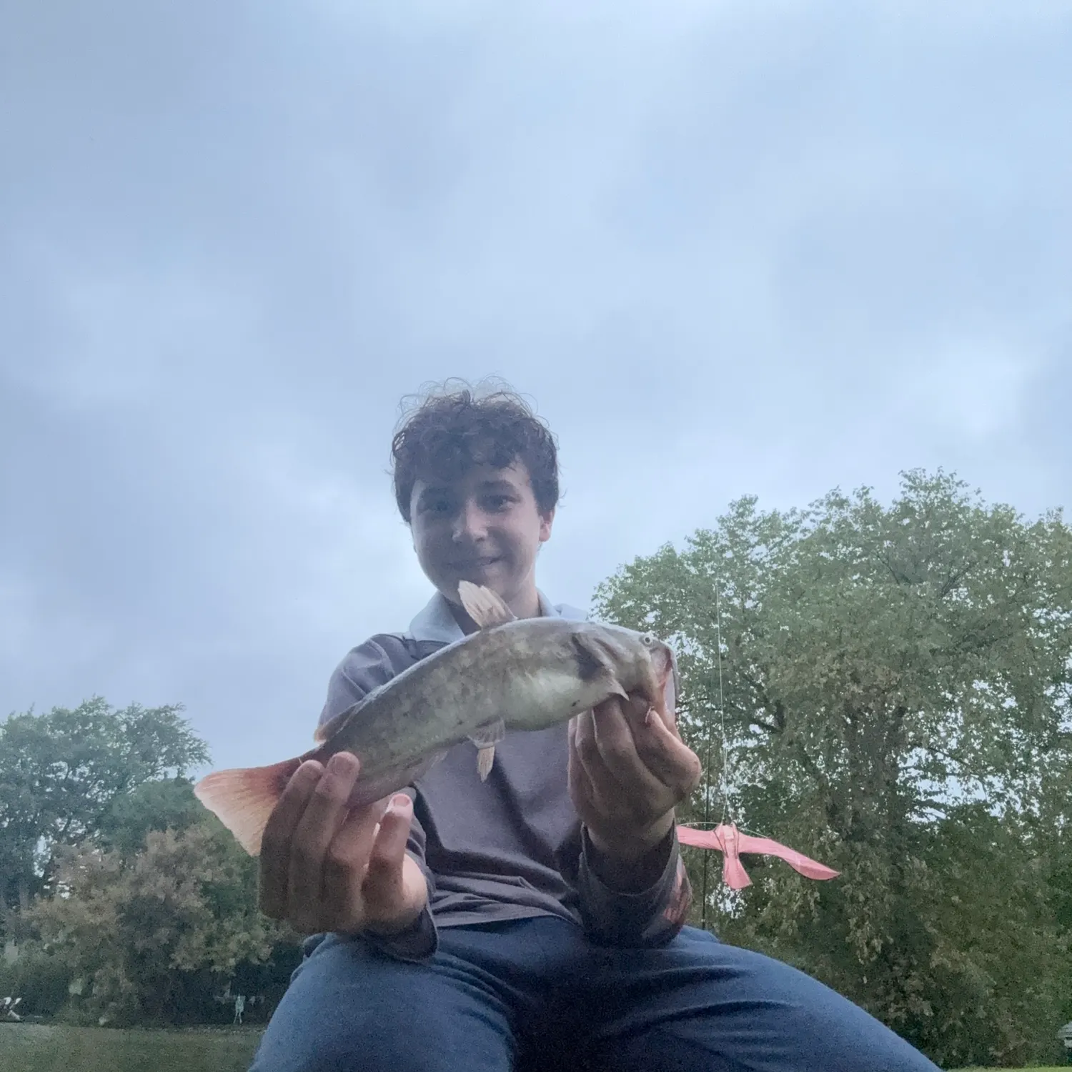 Brown bullhead caught on Fishbrain